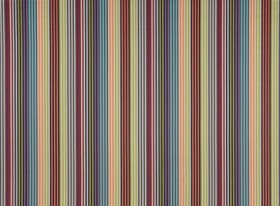 Audinys Supreme stripe