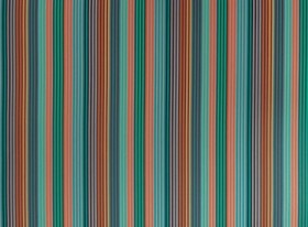 Audinys Supreme stripe