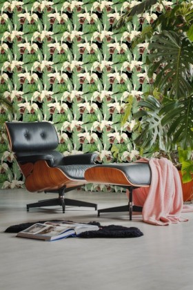 Tapetai Treasure island