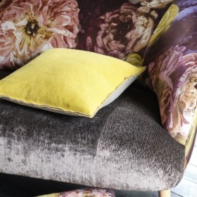 Audinys Bourlet Espresso