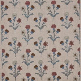 Audinys Calluna Autumn