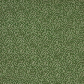 Audinys Aster Forest