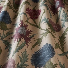 Audinys Acanthium Foxglove