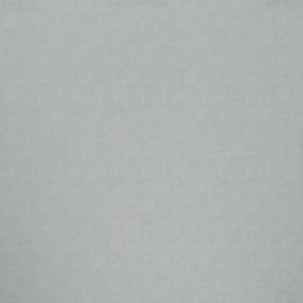 Audinys Antico Frost