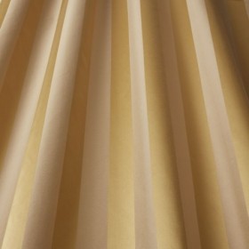 Audinys Striatus Gold