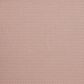 Audinys Alpine Coral