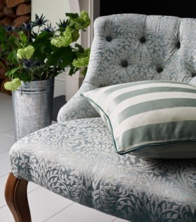 Audinys Striatus Azure