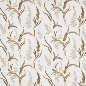 Audinys Grassland Ochre