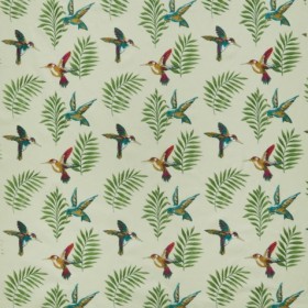 Audinys Montserrat Cassis