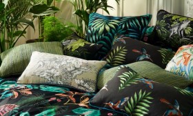 Audinys Montserrat Papaya