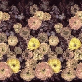 Tapetai Le Poeme de fleurs Rosewod