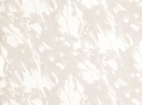 Tapetai Sombra Birch