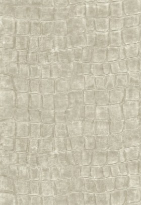 Tapetai Big croco