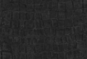 Tapetai Big croco