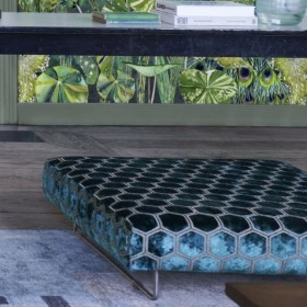 Audinys Manipur Mignight