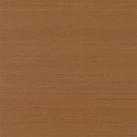 Tapetai Chinon Spice