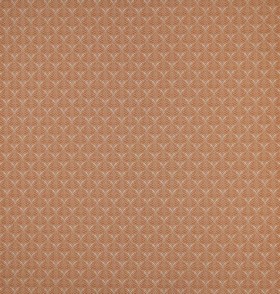 Audinys Calathea Orange