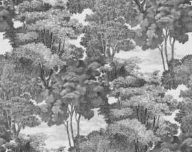 Tapetai Saint Sebastian