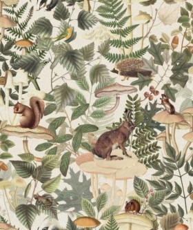 Tapetai Wildlife Creek