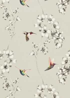 Tapetai Amazilia Silver