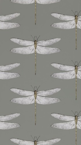 Tapetai Demoiselle Graphite