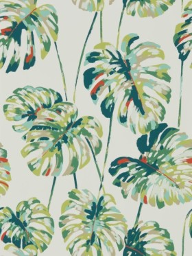 Tapetai Kelapa Emerald