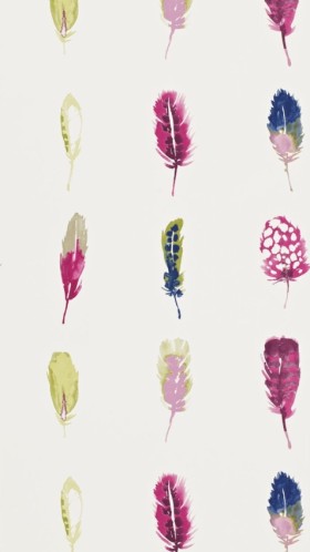 Tapetai Limosa Loganberry / Raspberry