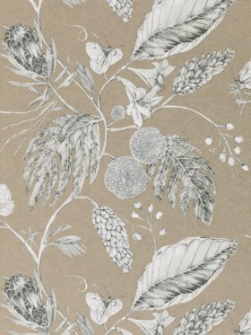 Tapetai Amborella Pebble