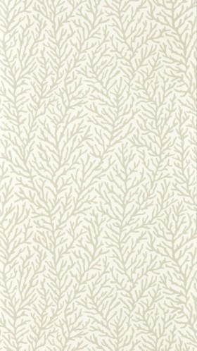 Tapetai Atoll Awakening