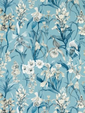 Tapetai Kalina Celestial