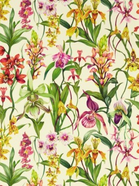 Tapetai Kalina Parchment