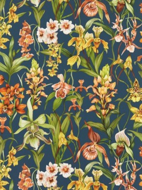 Tapetai Kalina Midnight