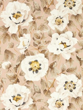 Tapetai  Florent Positano