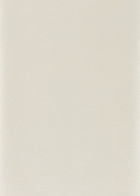 Tapetai Formation Oyster