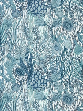 Tapetai Acropora Exhale