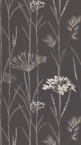 Tapetai  Gardinum Chorcoral