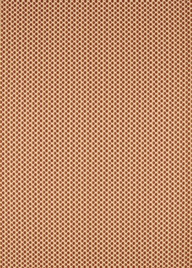 Audinys Arcadian Weaves Seymour Spot Amber