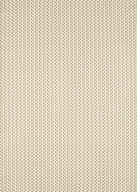 Audinys Arcadian Weaves Seymour Spot Mineral