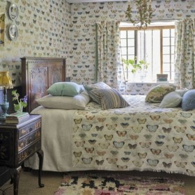 Audinys Butterfly Studies