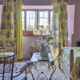 Audinys Ornamental Garden Mimosa