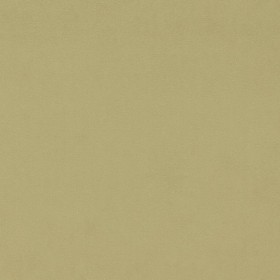 Audinys Wardle Velvet Sussex Citrus Stone