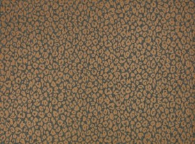 Tapetai Kitty  Slate