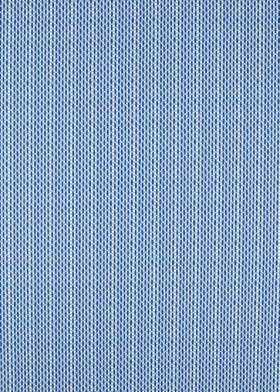 Audinys Basket Weave Lapis