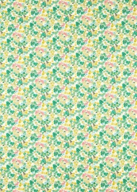 Audinys Wildflower Meadow Rose