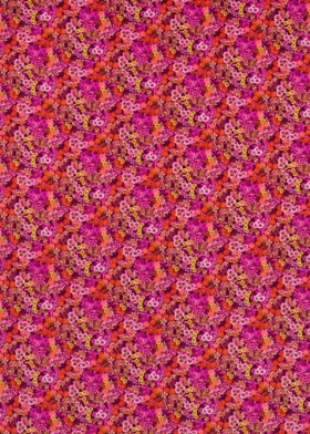 Audinys Wildflower Meadow Carnelian