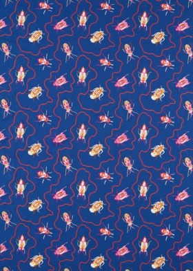 Audinys Jewel Beetles Lapis