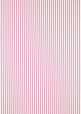 Audinys Ribbon Stripe Spinel