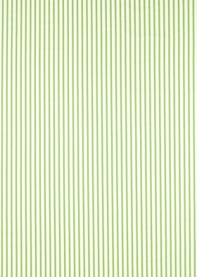 Audinys Ribbon Stripe Peridot